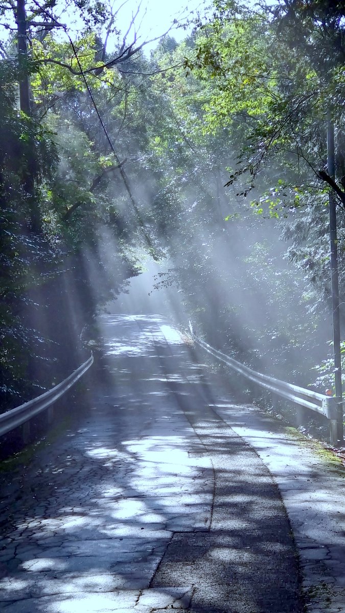 道に迷いし者 F/MODE TNOC THE HOODIE ZIPUP-YT2