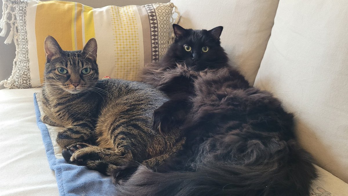 Le chamedi ferien c'est encore mieux ko me chamedi normal