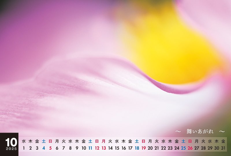 ほんの少し前までは半袖Tシャツ一丁で「いつまでも暑い！」なんて言ってたのにいつの間にやら11月。
季節の流れ早すぎ(；´Д｀)
特に10月はなんやかんやバタバタだったので、ほんと目まぐるしく過ぎた感じ。

今年の残り２ヶ月はちょっと余裕を持ちたいな。

ってことで10月はこんなカレンダーでした。