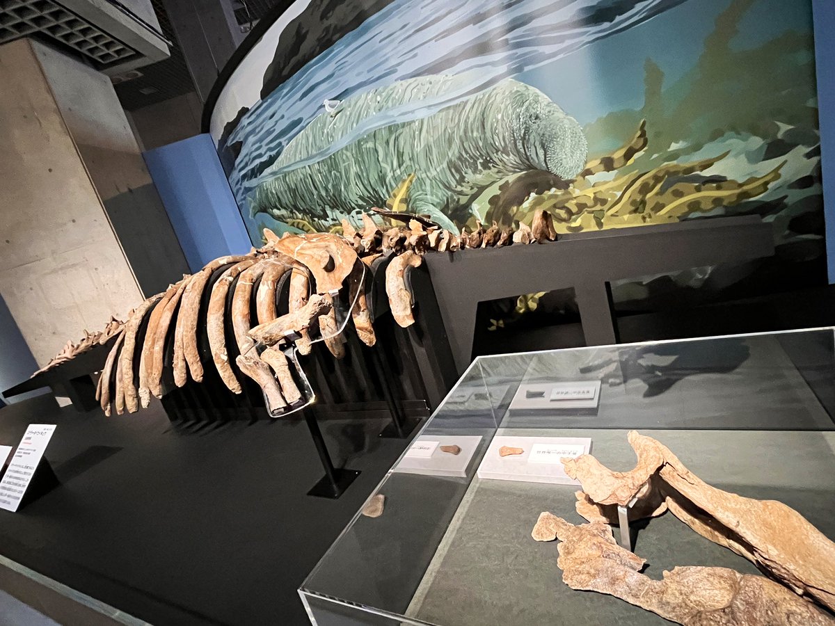 🌼もん🐝💧🎶 (@87_mon) / Posts / X