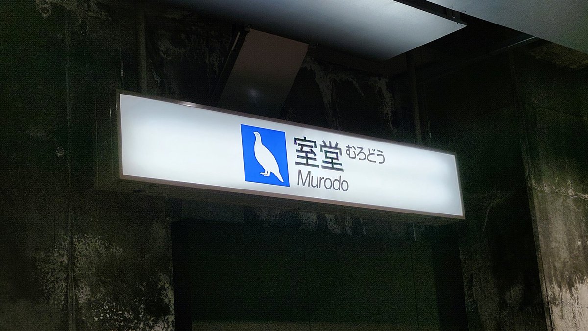 紫苑ページ 紫苑 on X