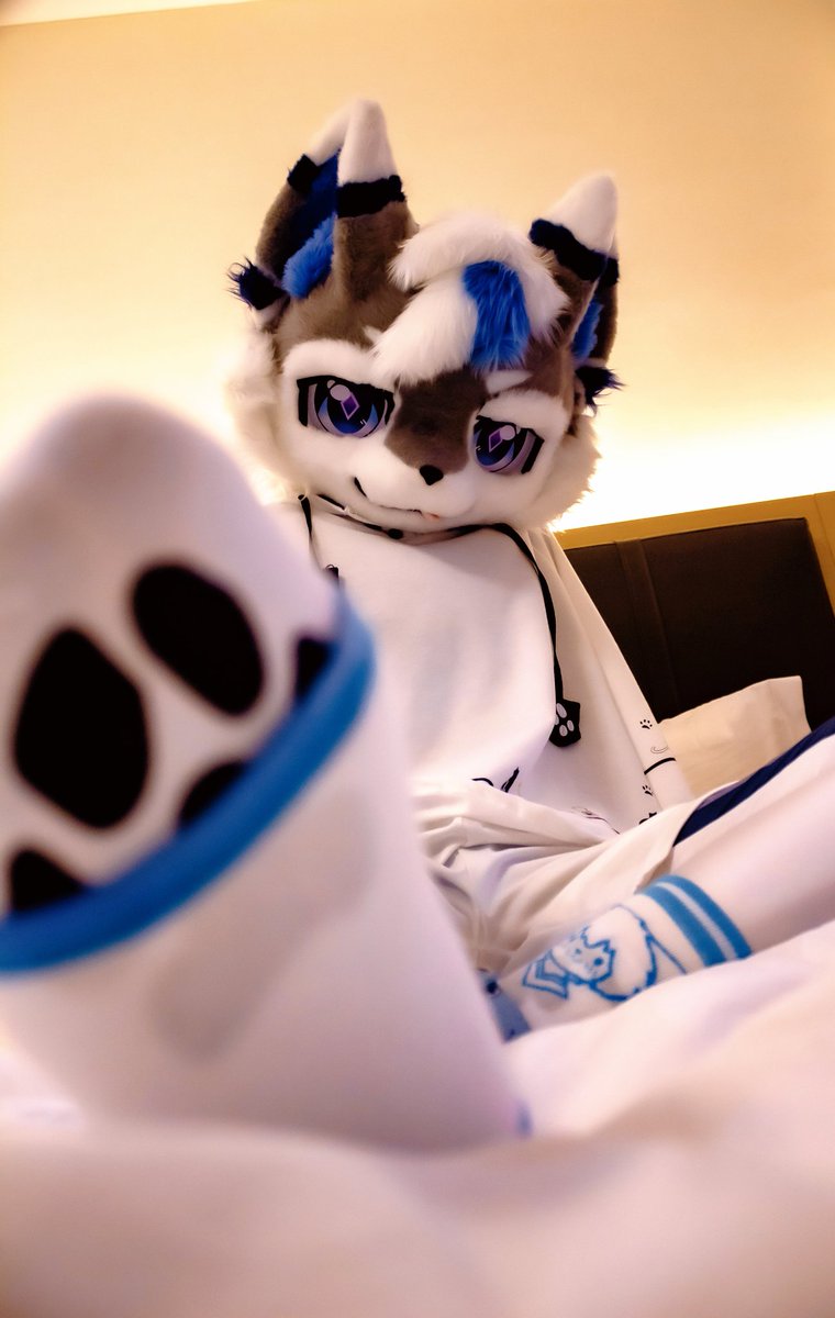 Meredith-馒头 tweet media