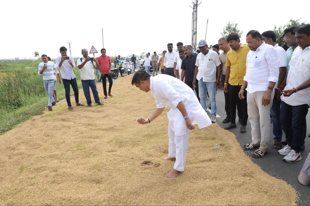 sanghaviharsh's tweet photo. રાજ્યમાં કમોસમી વરસાદના કારણે ખેડૂતોને ચોમાસુ પાકમાં વ્યાપક નુકસાન વેઠવું પડ્યું છે ત્યારે આજે સુરત જિલ્લાના ગ્રામ્ય વિસ્તારોમાં નુકસાન પામેલ ડાંગરના પાકનું રૂબરૂ નિરીક્ષણ કર્યું અને અસરગ્રસ્ત ખેડૂતો સાથે વાતચીત કરી.

ભૂપેન્દ્ર ભાઈ પટેલ ની  સરકાર હરહંમેશ અન્નદાતાઓના હિત માટે, તેમની સાથે અડગ ઉભી છે.