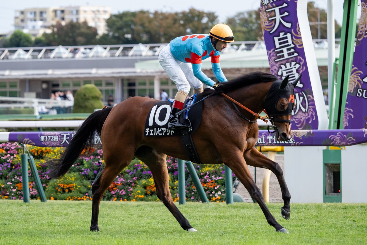 紅葉S - Search / X