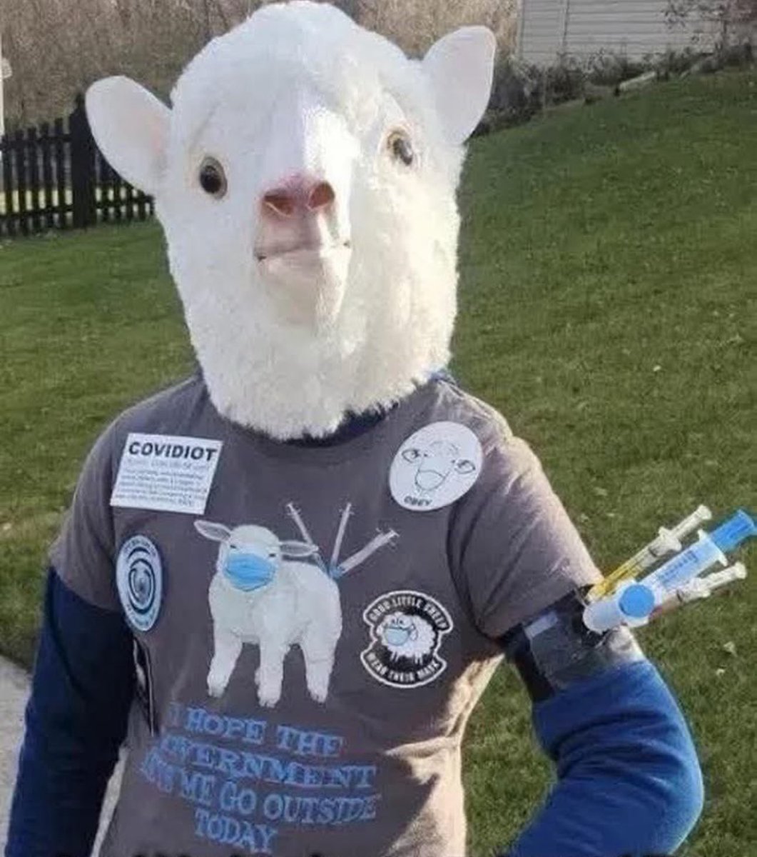 GuntherEagleman's tweet image. Best costume last night🏆