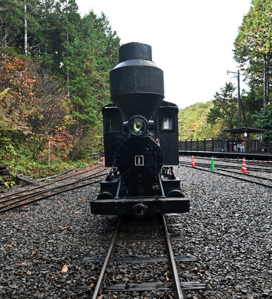 ボールドウィン製の蒸気機関車…
何かかわいい…