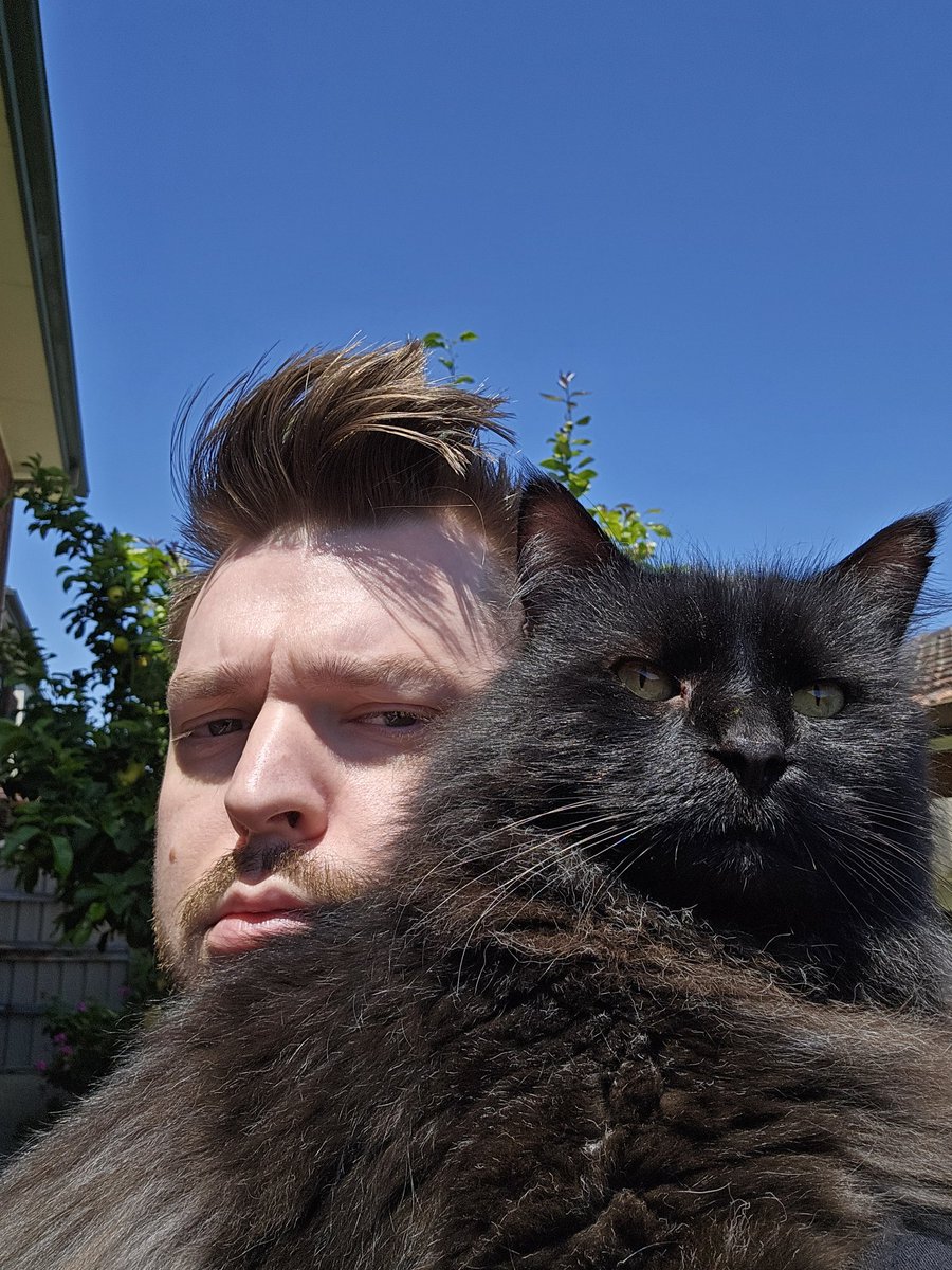 When <a href="/tamsinwood92/">tamsinwood 🍑</a> is away, the cats come out to play