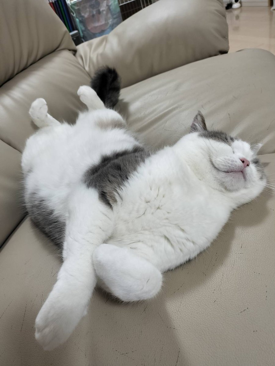 りのあページ Z/X -Zillions of enemy X-/[E23] Z/Xmemo!]Pledge of the Azure Sky