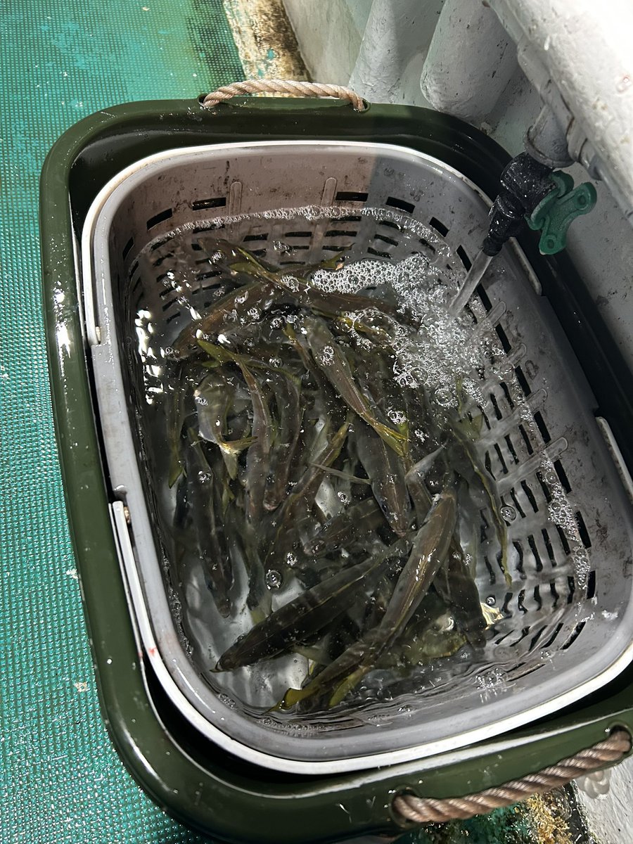 そーた tweet media