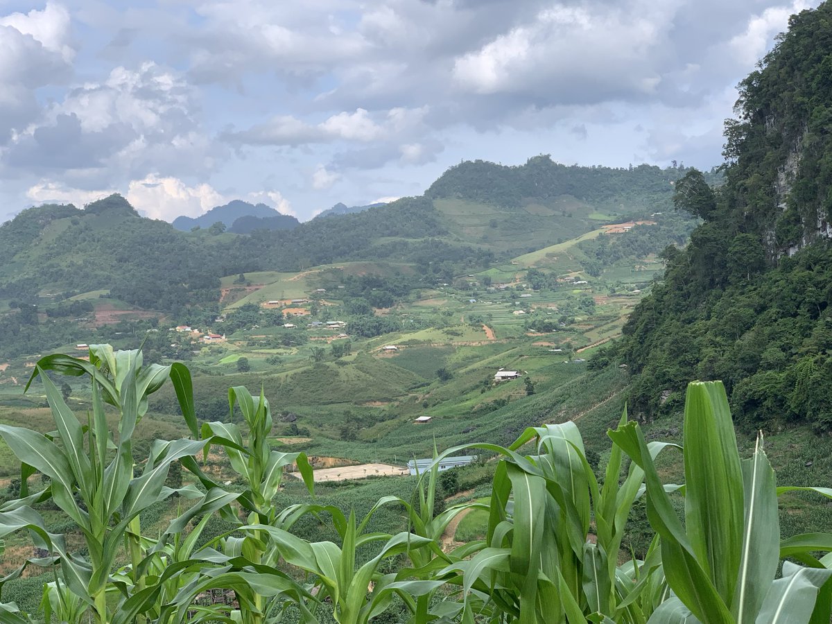 Nguyễn Tiến Đông | Dax tweet media