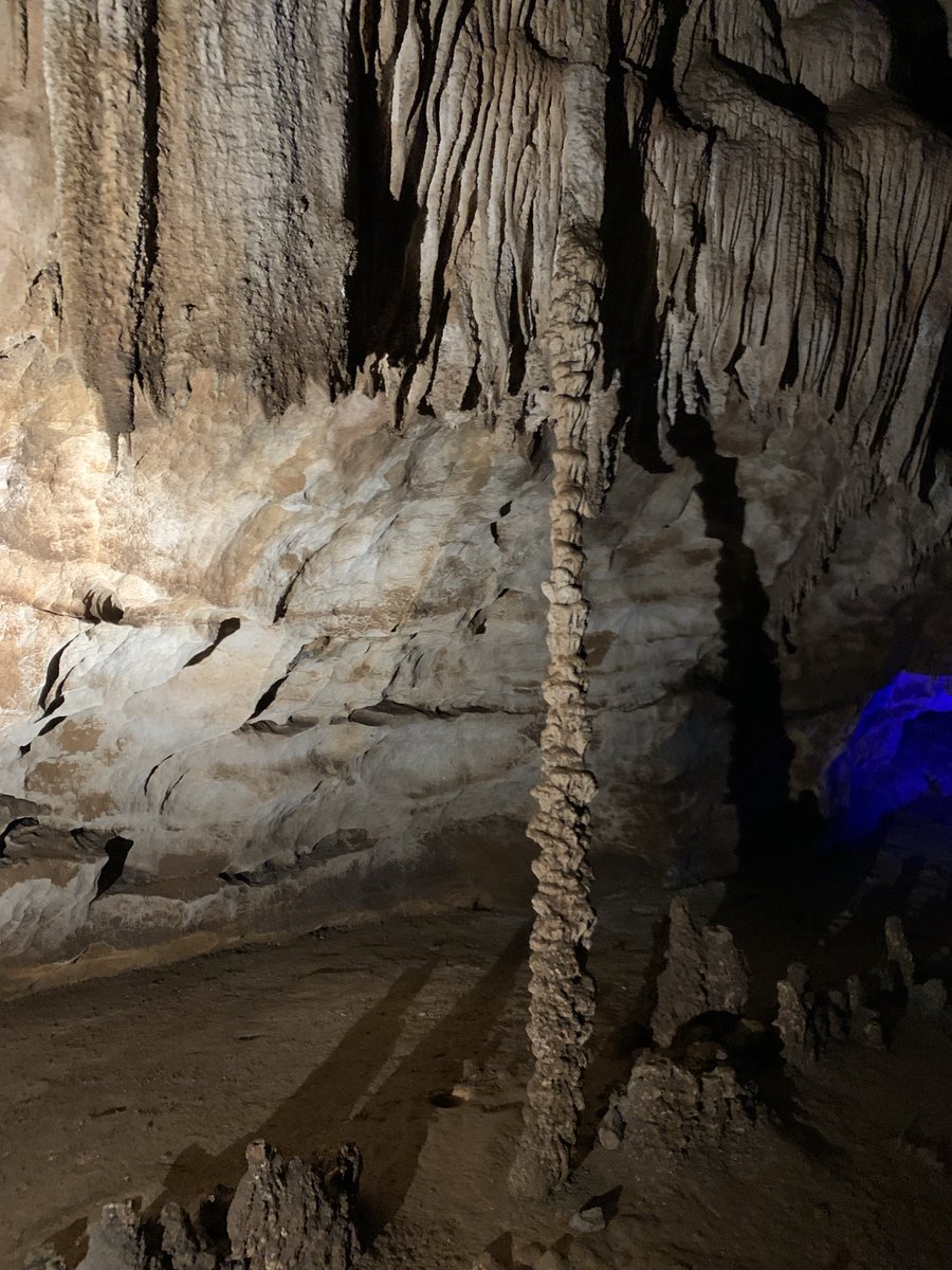 Nguyễn Tiến Đông | Dax tweet media