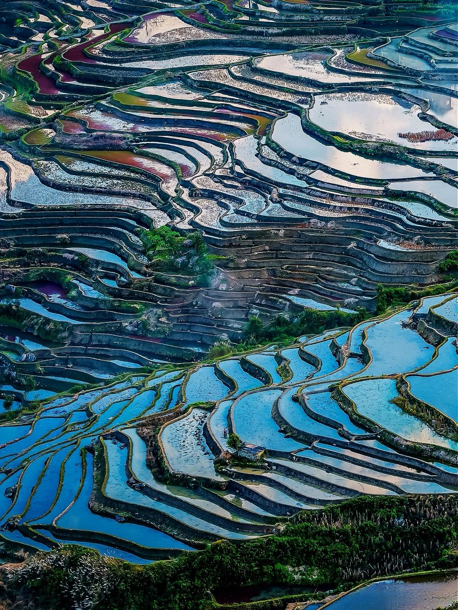 这样的梯田，风景好，丰收也是不错的。