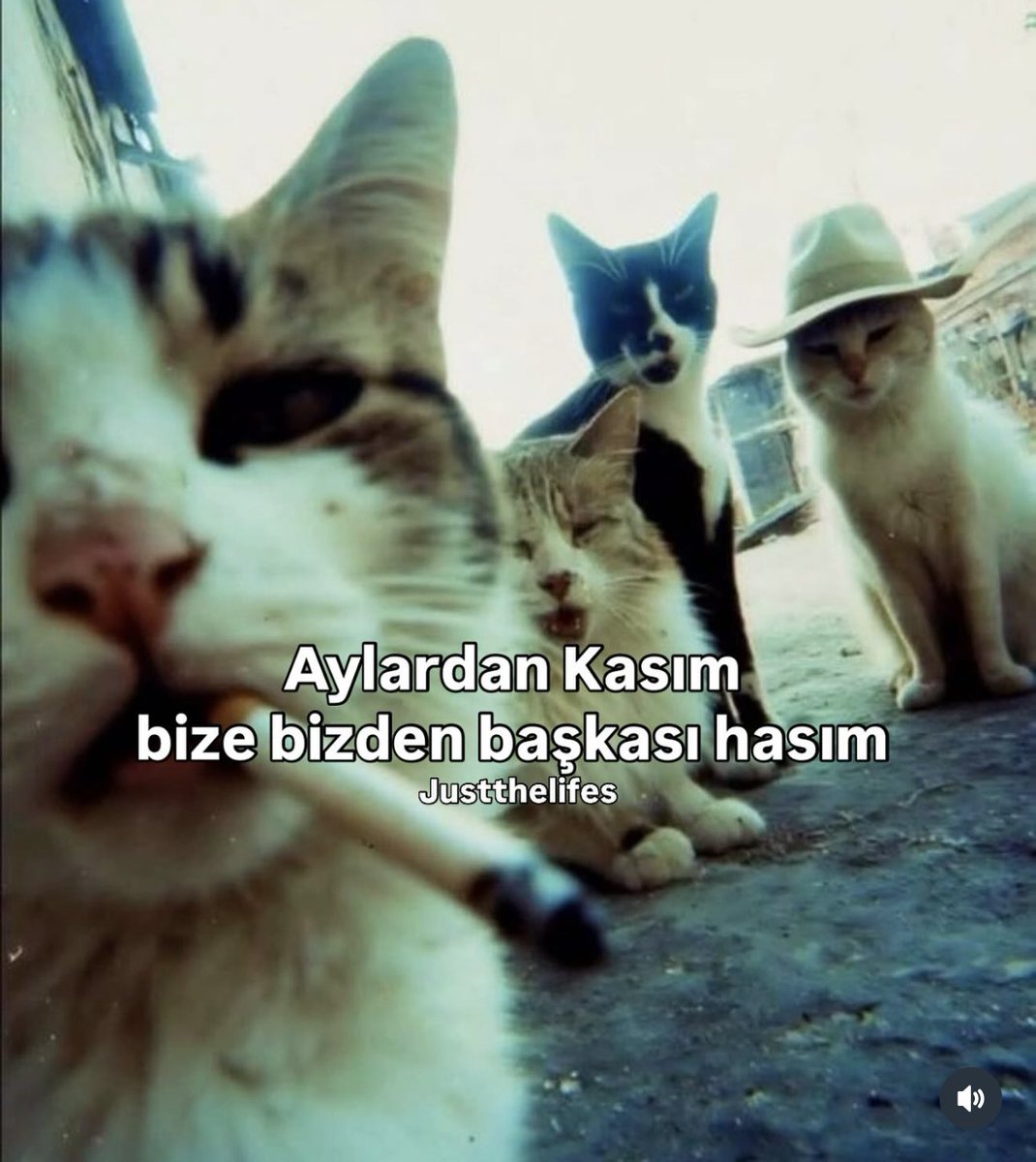 #kasım 😼