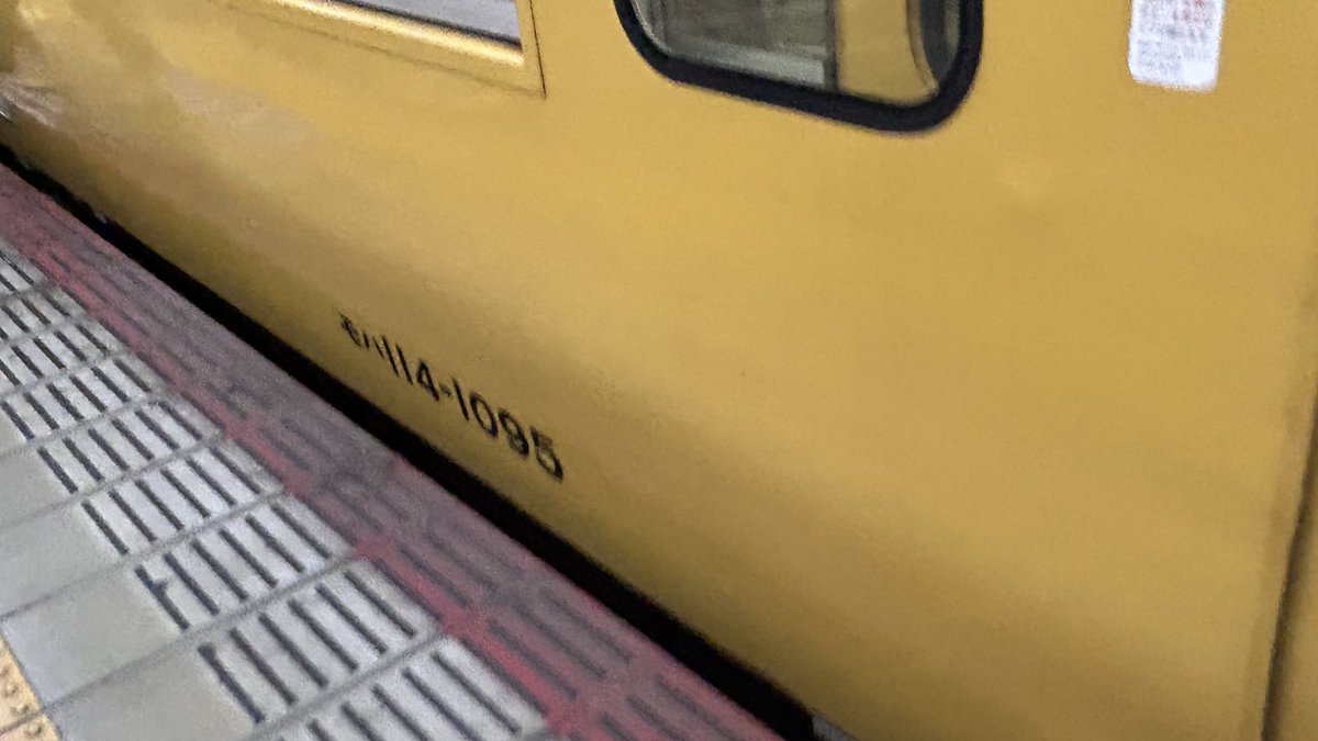 wonder-dolphin (@7237014_E14) / Posts / X