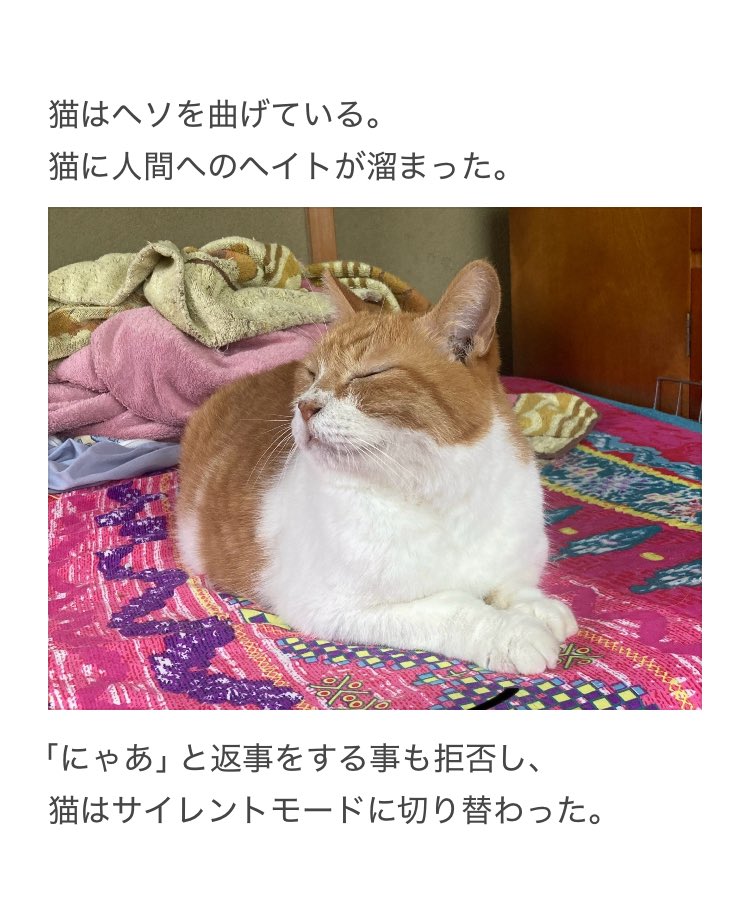 とーこ@基本無言ページ とーこ@基本無言ページ ぽん子|スカッと漫画 (@ponko008) • Threads,