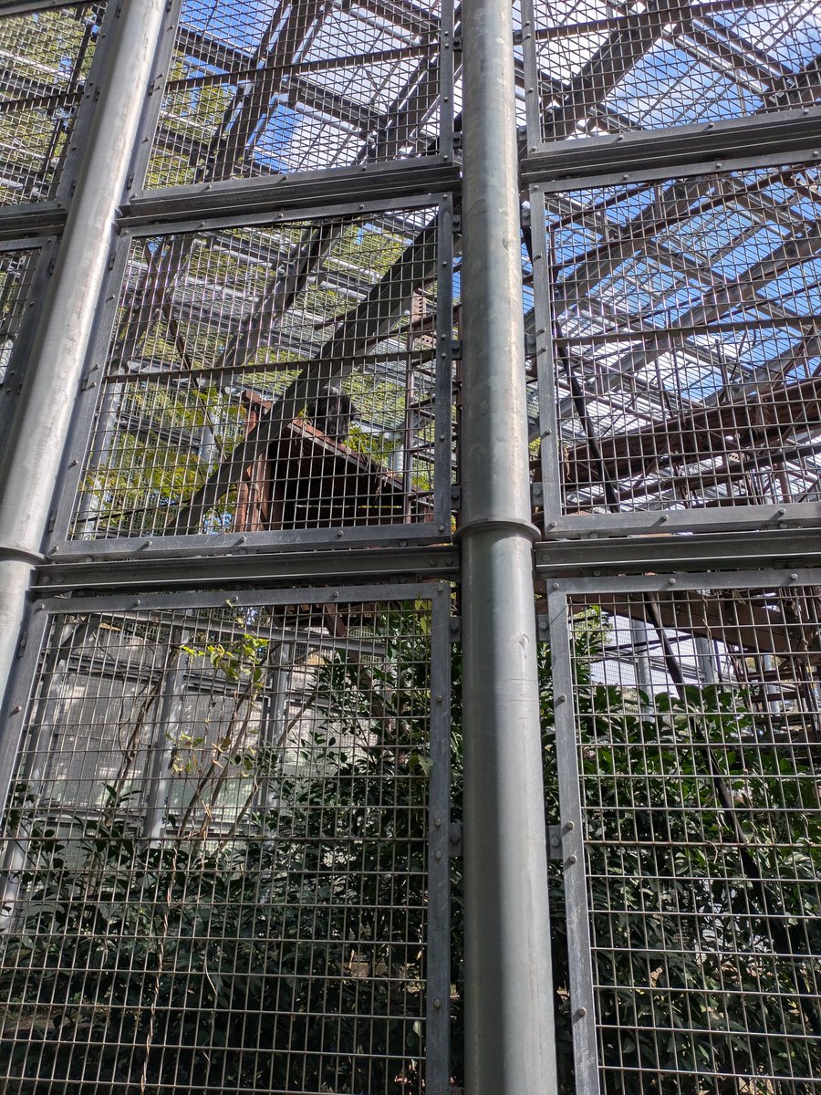 まるちゃん ページ まるちゃん on X