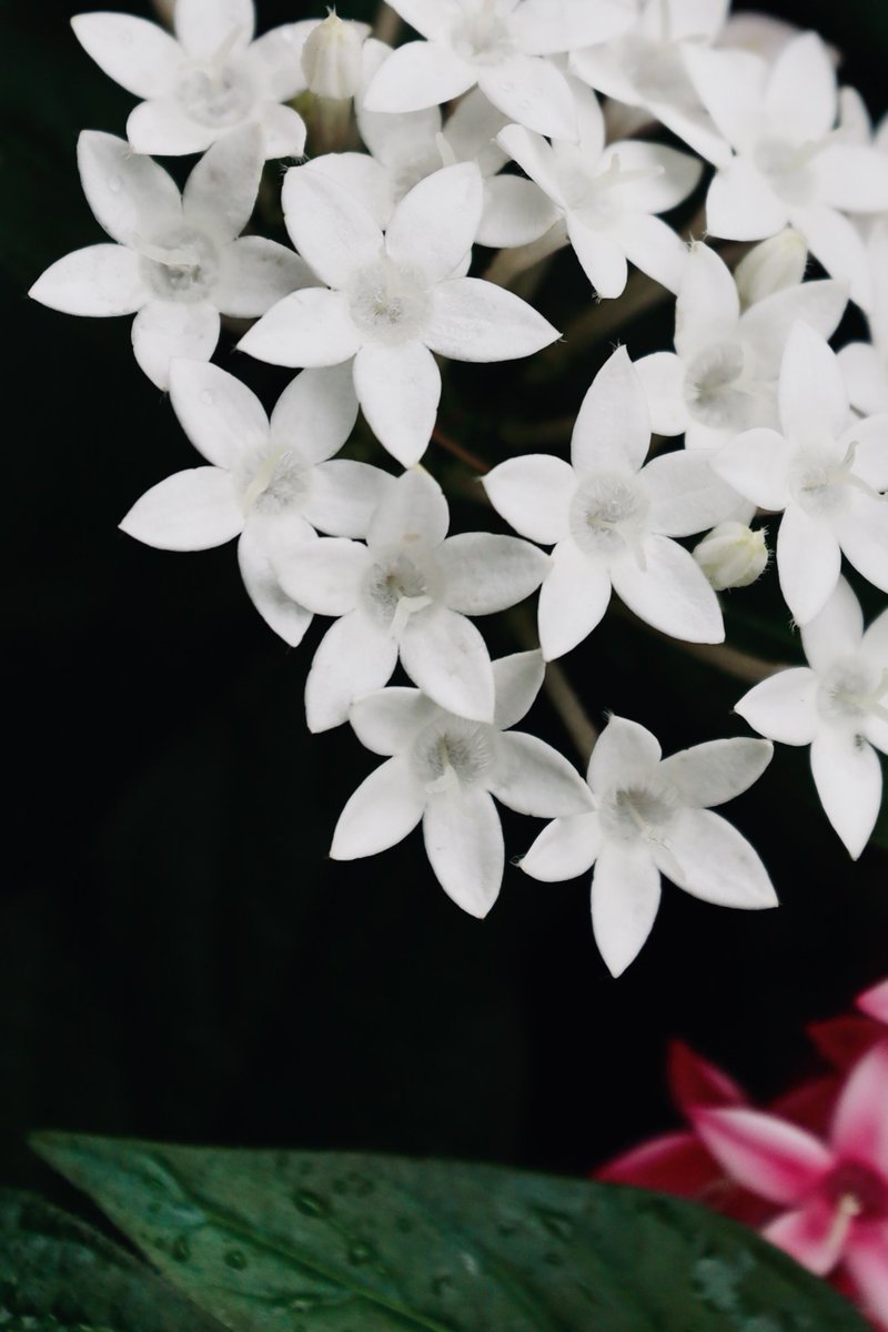 スーパーともちゃん (@Super_Tomochan_) / Posts / X