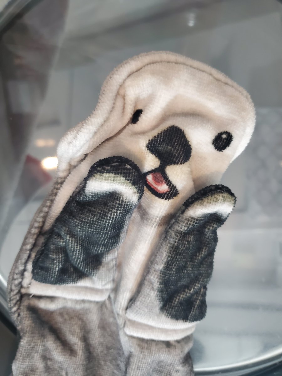 ベル🧚‍♀️🔔 on X