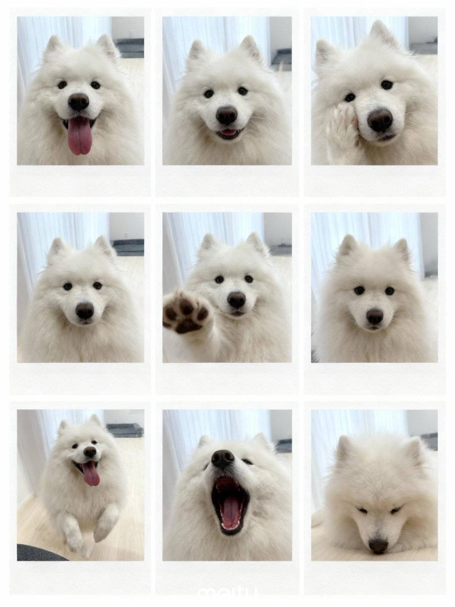 全部、かわいい。