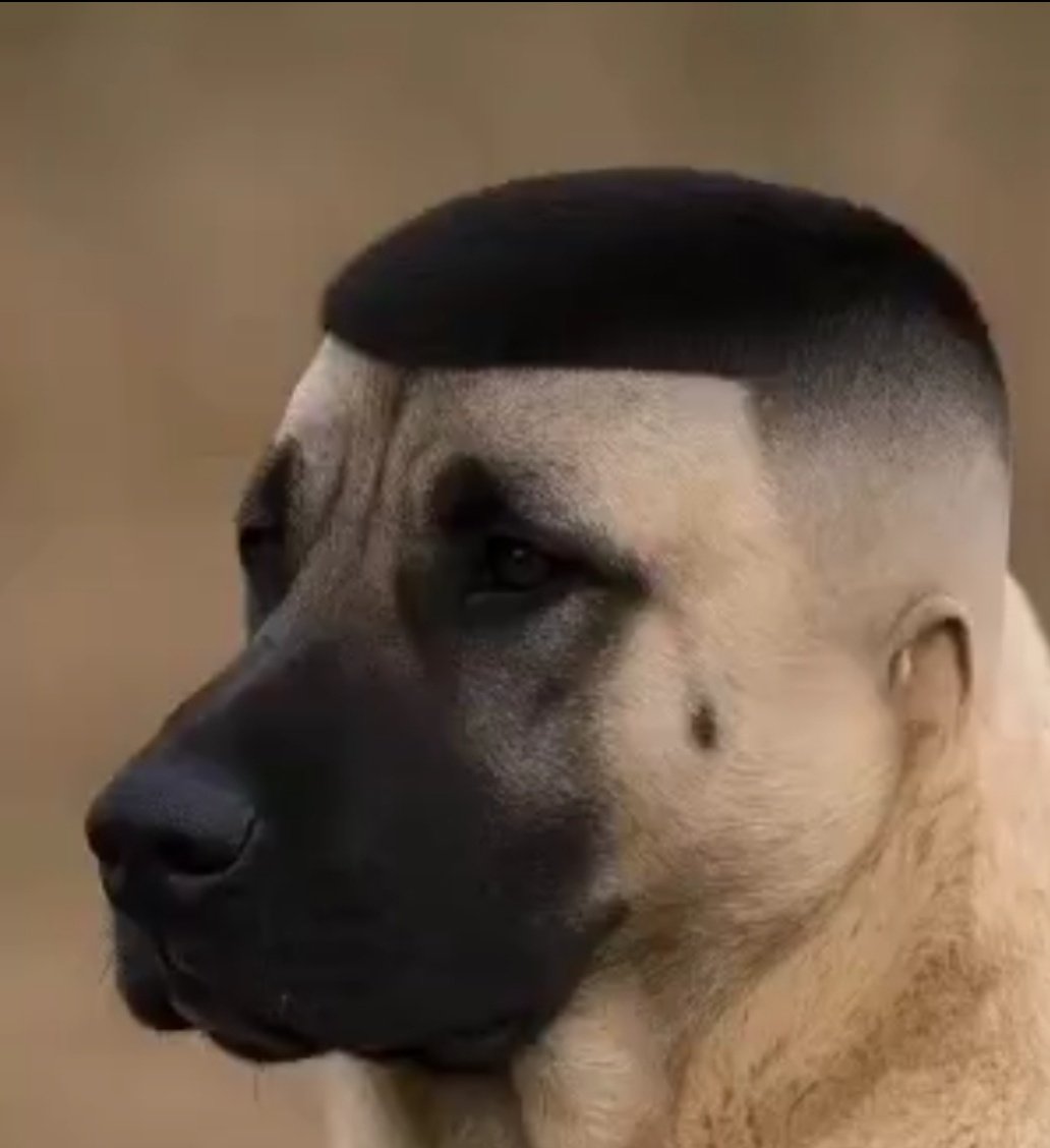 Lan aynısı harbiden hahahaha