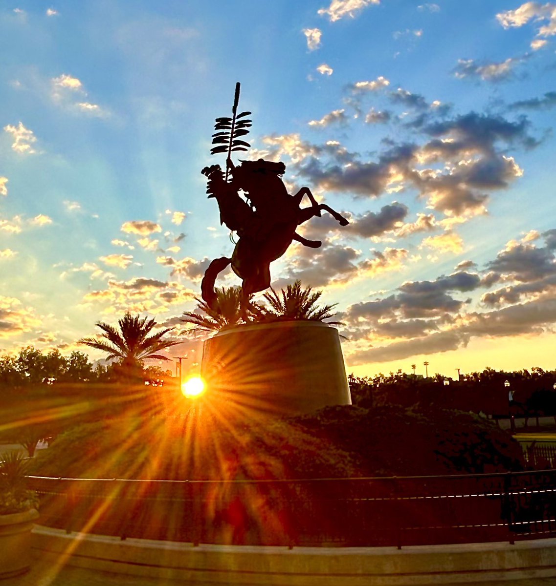 It’s Gameday in Tallahassee!
                     Go Noles🍢