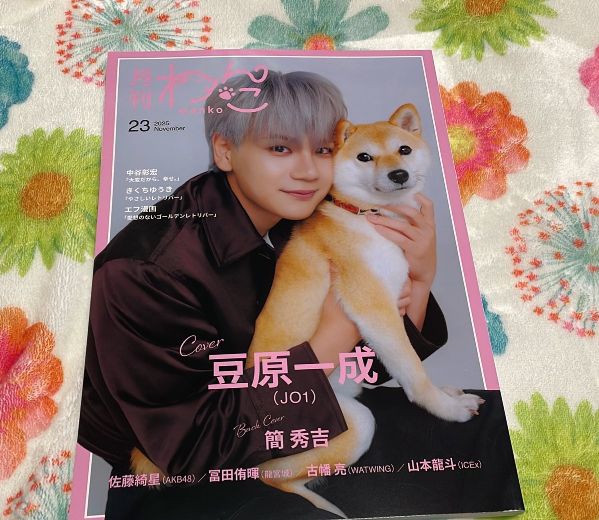 確認ページ♡にゃんことわんこ トミ子🍌🦒 on X