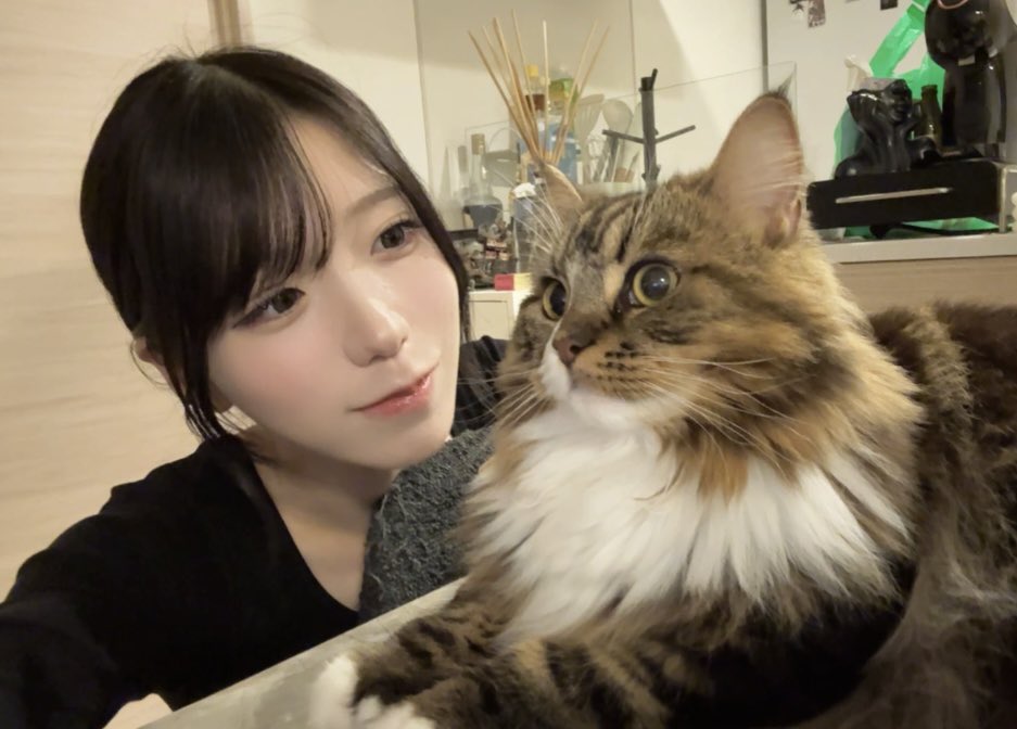 すて☆様 おさんどん🐰⭐️ (@setsuna0303xv) / Posts / X