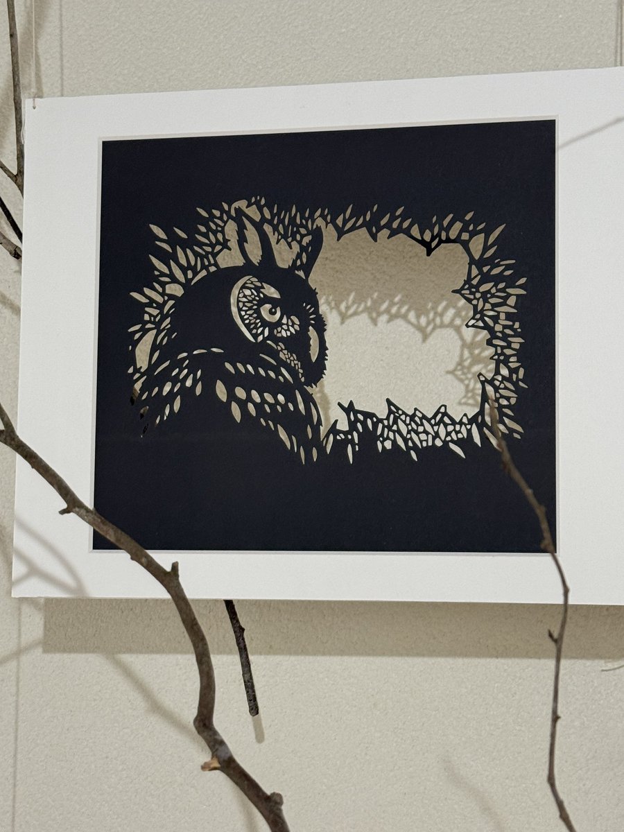 タムラ堂 (@Ks48162221) / Posts / X