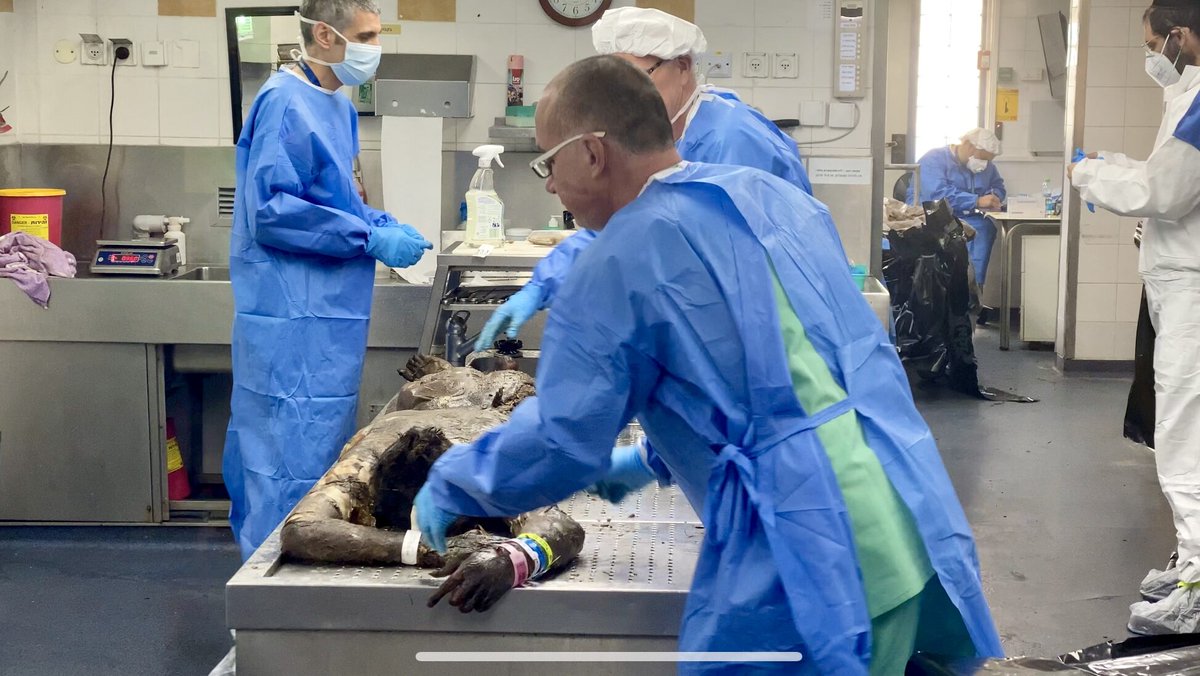 Gabriel Yerushalmi 🇮🇱 tweet media