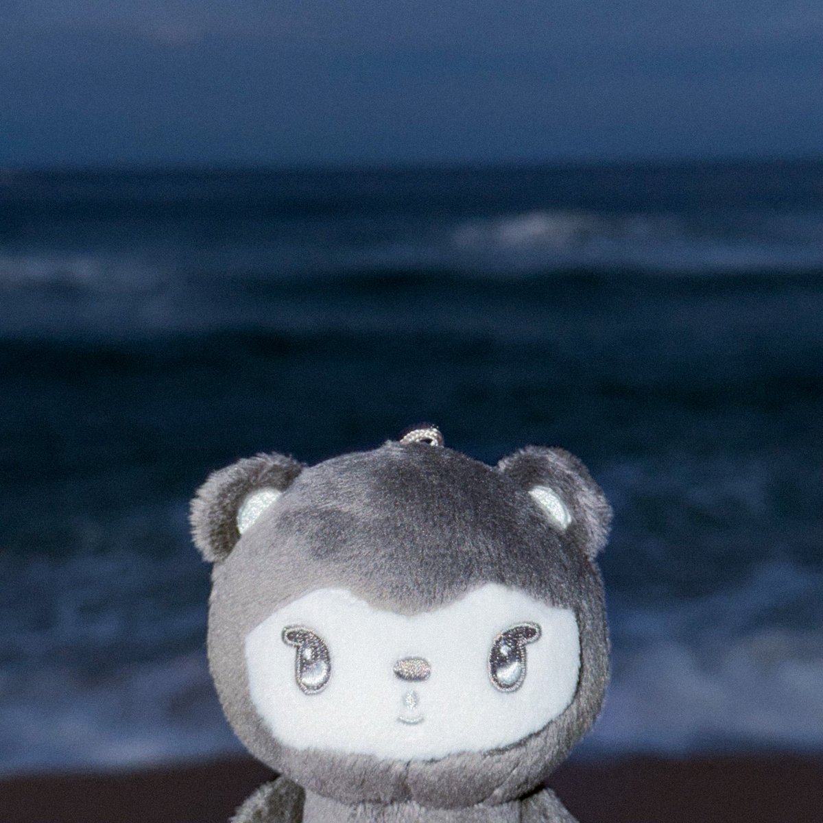 내   돌숭깅..   바다에서증명사진찍어줫어 땨