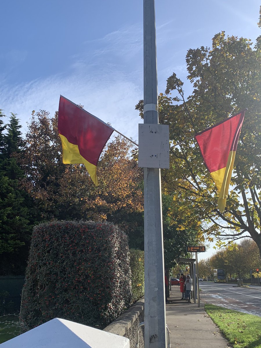 Ronan Doohan tweet media