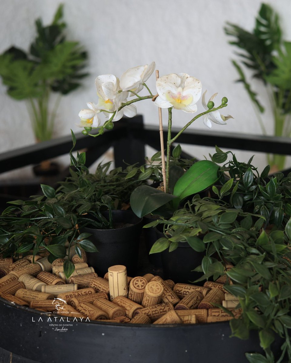 Desde todo el equipo de La Atalaya Eventos by <a href="/LopezEcheto/">López Echeto</a> queremos desearte un feliz día de Todos los Santos.

Contácta con nosotros a través del teléfono 📲 615 618 475 o el email atalayaeventos@lopezecheto.com