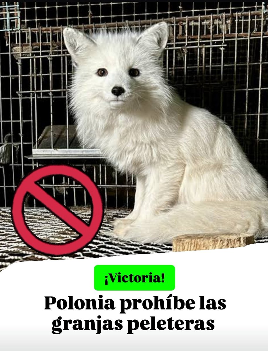 Avanzamos 🇵🇱✊🏼