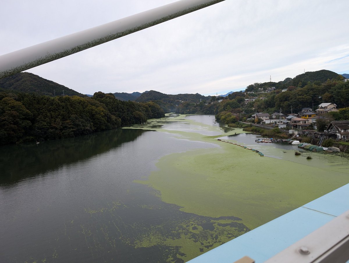 相模川　相模湖に入る所汚い。