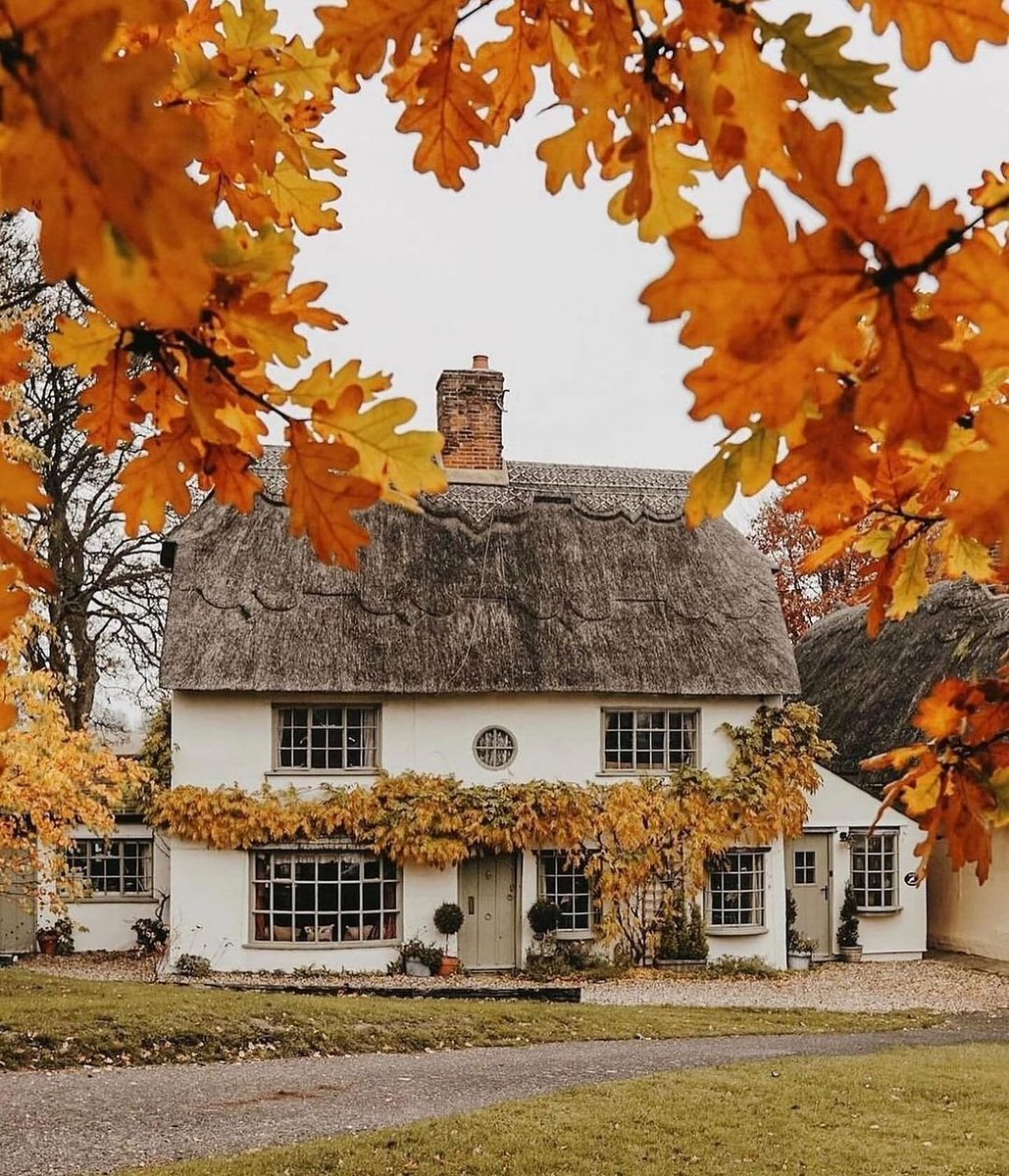 englandcottages's tweet image. This is everything I need 🏡