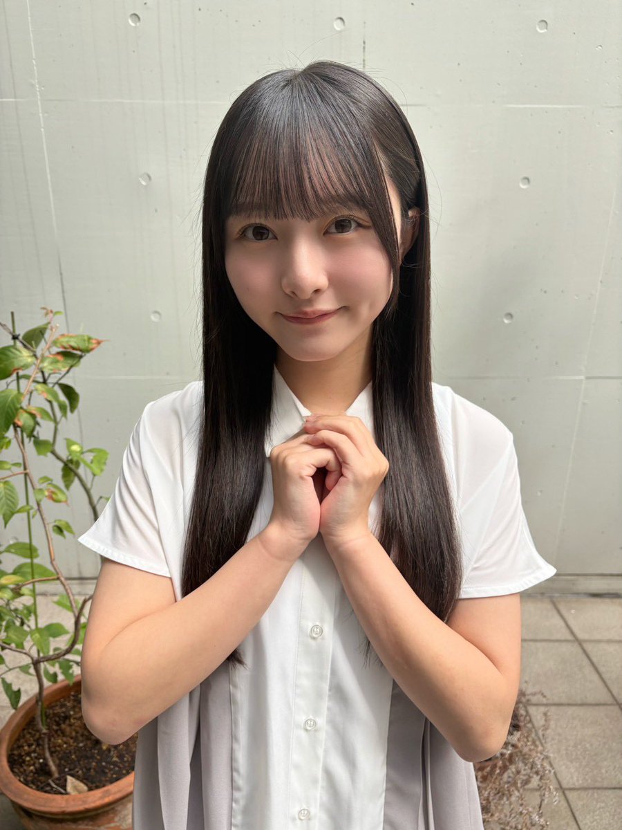 タルタルです。 セフ引出しボックスL セフ防水パーツケーストレイ｜セフボックス