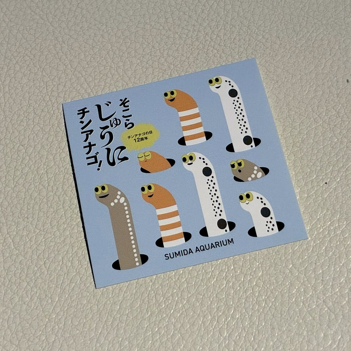 今日からスタート チンアナゴ模様当てビンゴ🎯 館内のちんあなごを探し