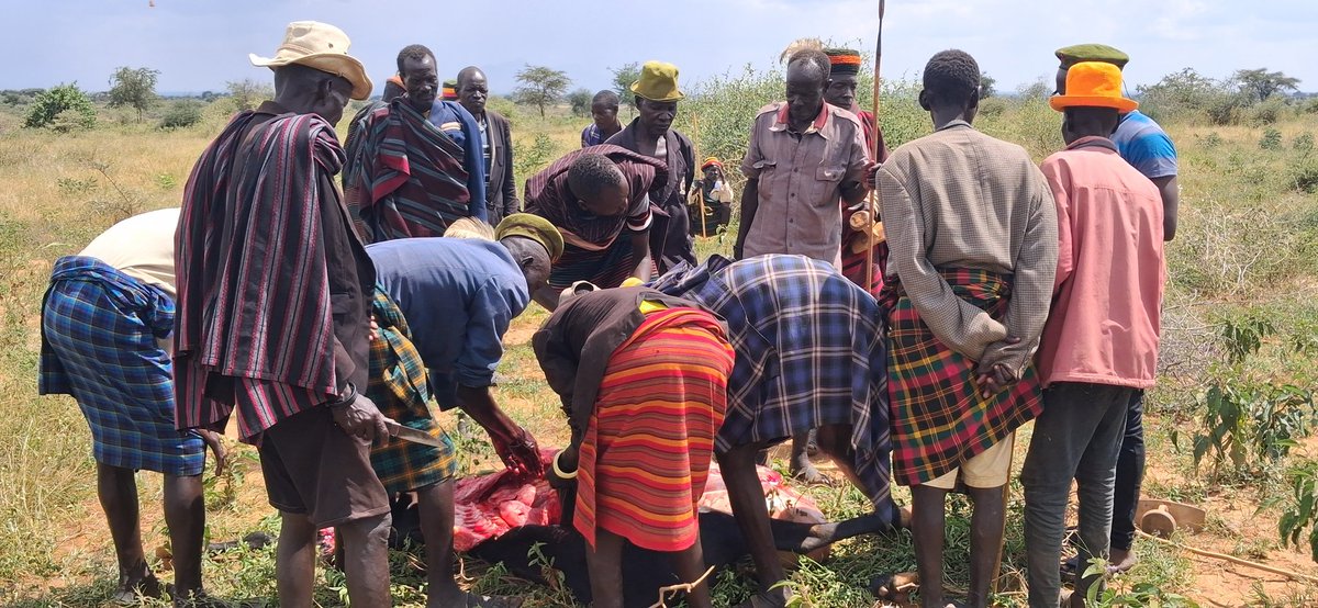 grassroots_gard's tweet photo. "GARD in partnership with @CARE under CASCADE project: Engaging Jie cultural leaders &amp; elders on gender norms &amp; nutrition in Karamoja at Karim Shrine, Kotido District #Nutrition #Karamoja #GenderEquality https://t.co/px3LrCcY6y