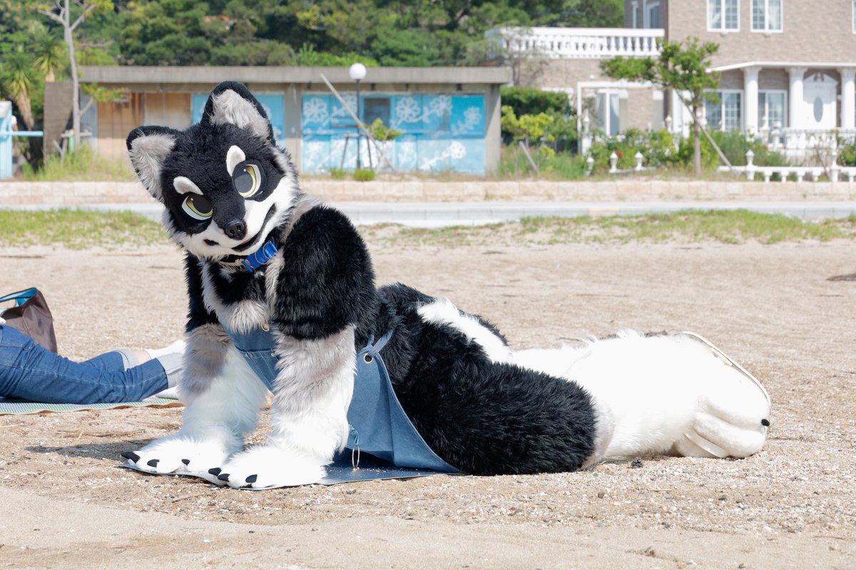 がじまるどぅ ガジマル (@2929gazimaru) / Posts / X