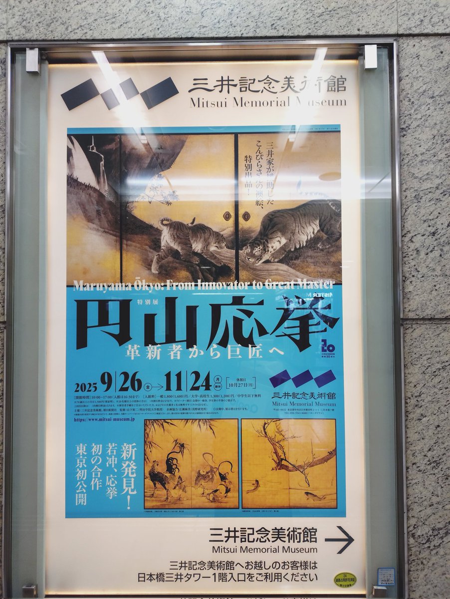 夜桜の掛け軸 掛け軸-夜桜／緒方葉水（尺五・桐箱・風鎮付き・緞子）花鳥画