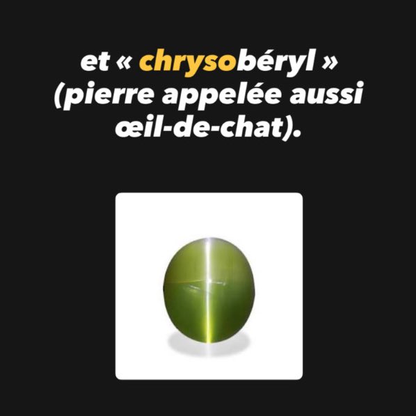 Aurore Ponsonnet tweet media