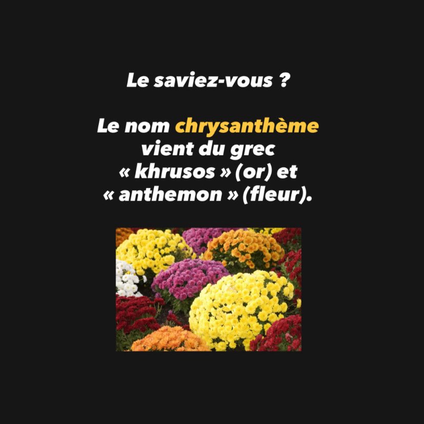 Aurore Ponsonnet tweet media