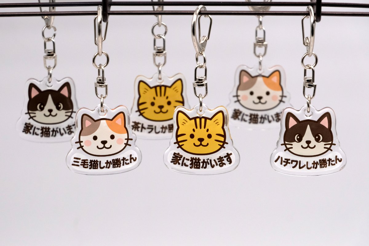 ✨️『推しネコ』シリーズにキーホルダーが登場✨
毎日持ち歩ける推しアイテム！

毛柄はハチワレ・三毛猫・茶トラ、
メッセージは「〇〇しか勝たん」「家に猫がいます」から選べます

🐾クリアなアクリルに両面印刷
🐾ぷっくり可愛い立体仕上げ

amazon.co.jp/stores/kakuoga…