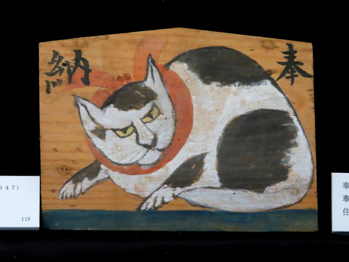 ぱんにゃ 絵馬 ぱんにゃ 絵馬 WindStallion_-