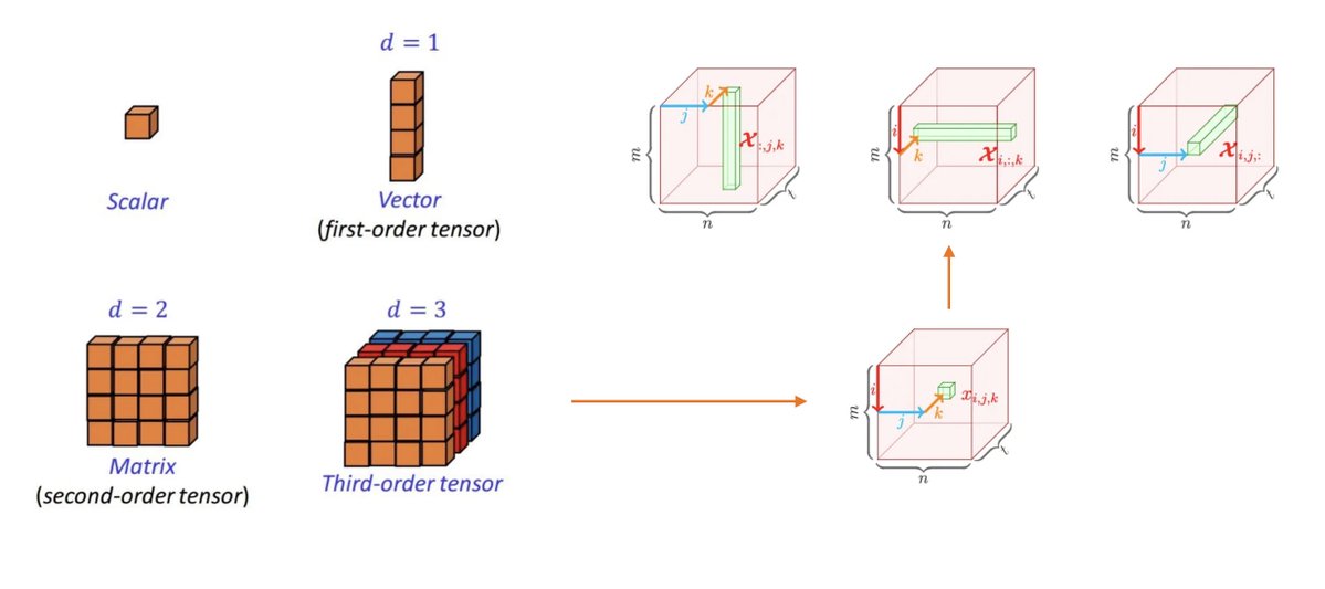 madsondeluna's tweet image. I really hope it's not just me, but I find this visualization of dimensionality beautiful. It's so much fun to see the data level up, progressing from a simple scalar to a complex tensor.
(Image adapted from: medium.com/@xinyu.chen/in…)