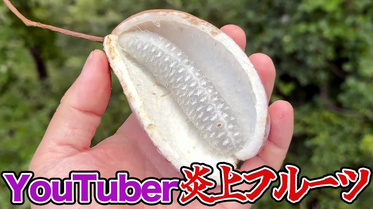 Blue Nile Gear | 代表香本 (@BlueNileGear) / Posts / X