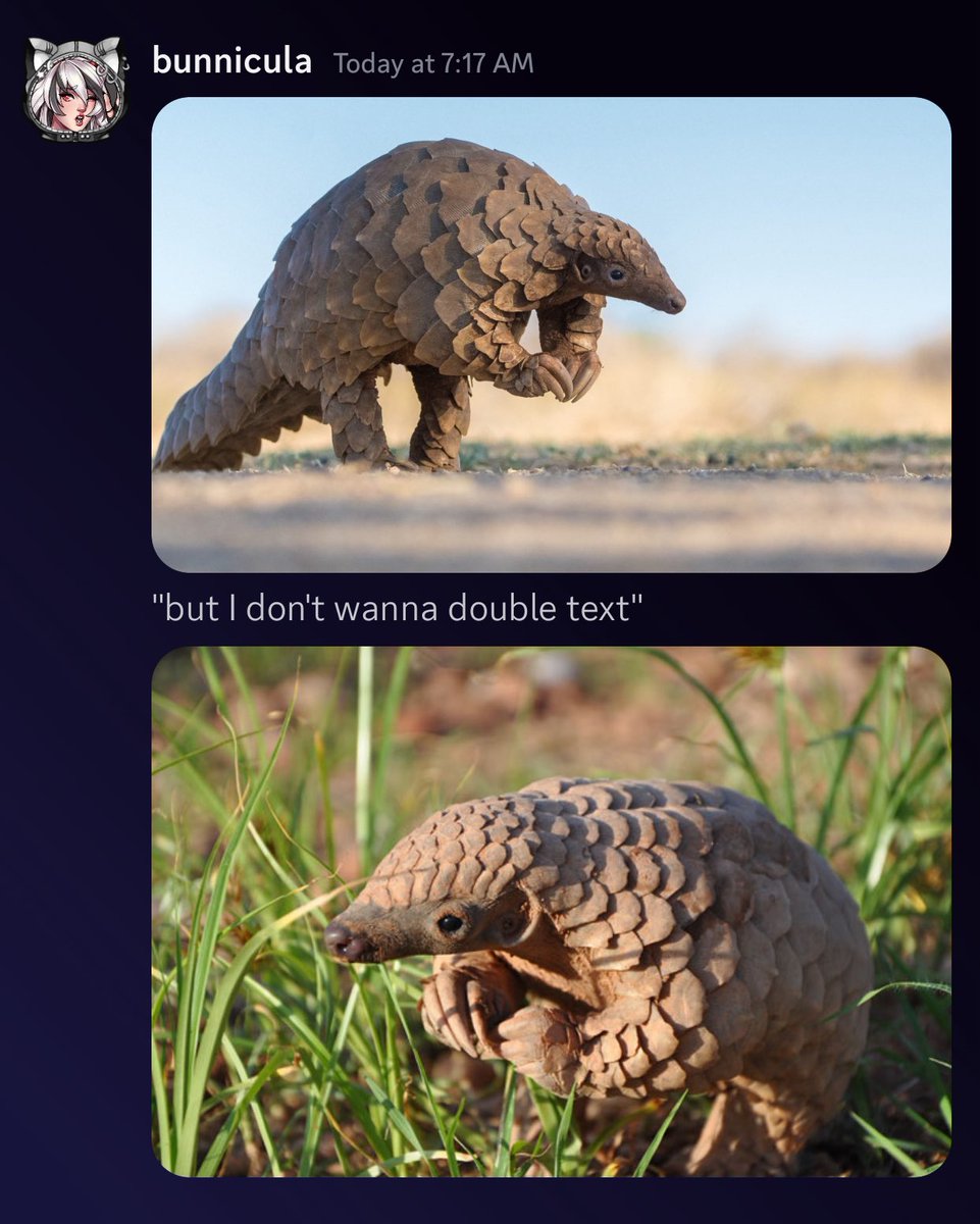 Me: “What animal do you think I’d be?” 

This is BULLYING