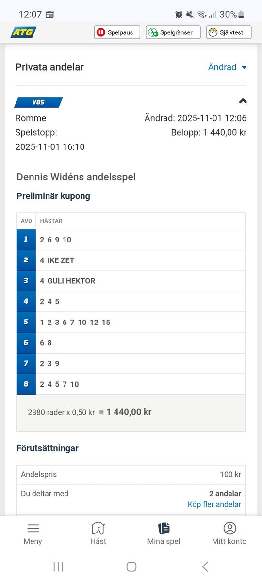 Gör ett försök idag också. Går mest på känsla. Finns andelar kvar om någon vill vara med 🤠
atg.se/?sharedBet=tru…