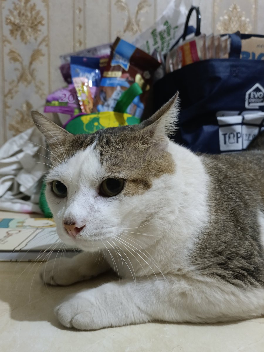 tiramitchim's tweet photo. Hasil berburu di #IIPE dapet banyak bgt coiii, sayang bgt kudu pulang krn batre sisa 1 persen 💔 https://t.co/52Q34o57LJ