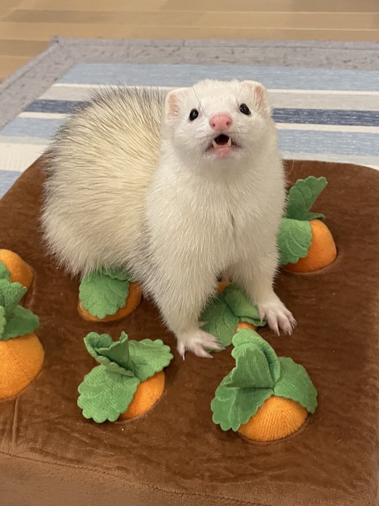 そらのすけ (@soramame_xx) / Posts / X